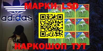 бошки Гатчина