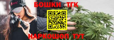 бошки Гатчина
