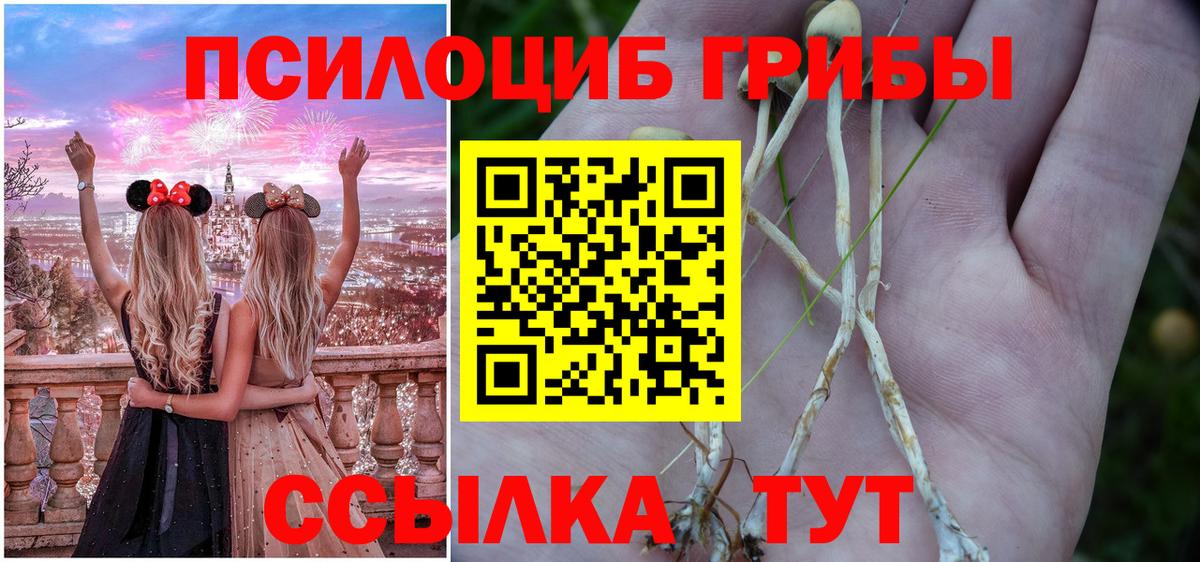 Псилоцибиновые грибы Psilocybine cubensis  Псилоцибиновые грибы GOLDEN TEACHER  Междуреченск  Вход с VPN 
